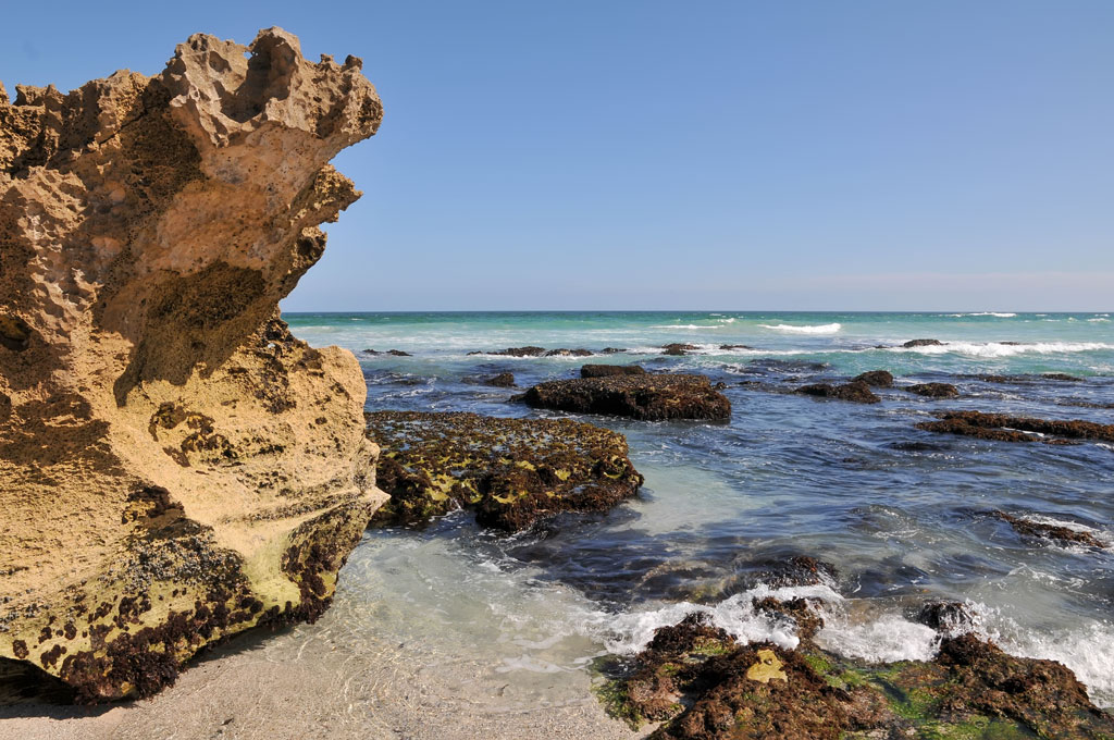 de hoop NP 2