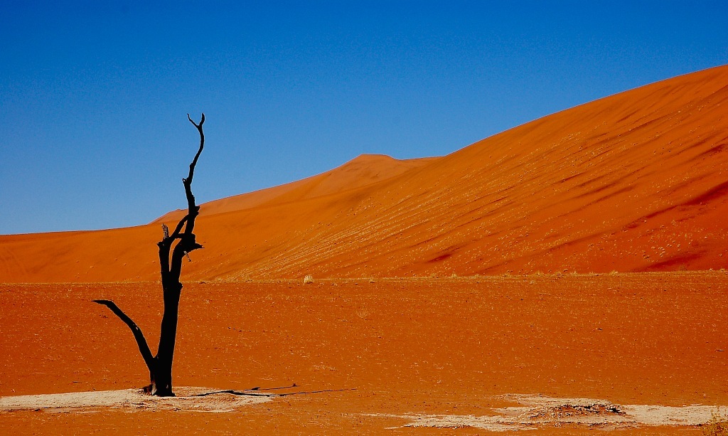 Deadvlei001