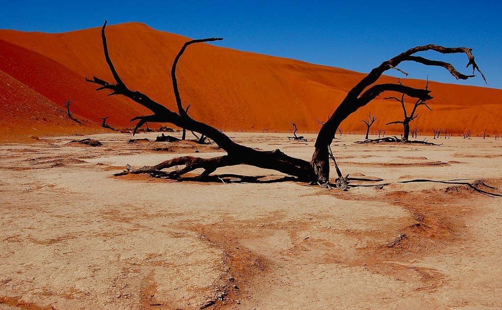 Deadvlei002