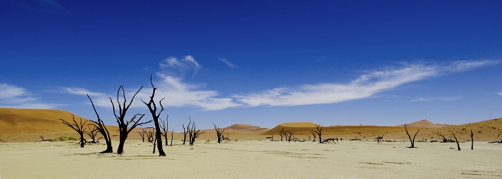 Deadvlei004