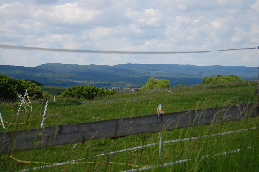 Deister