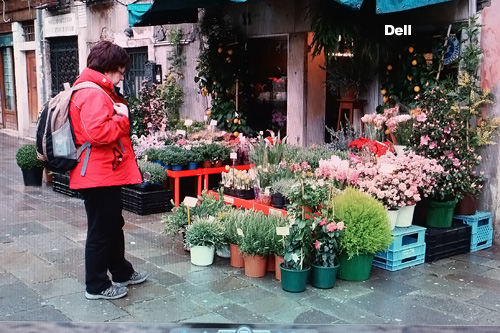 Dell M