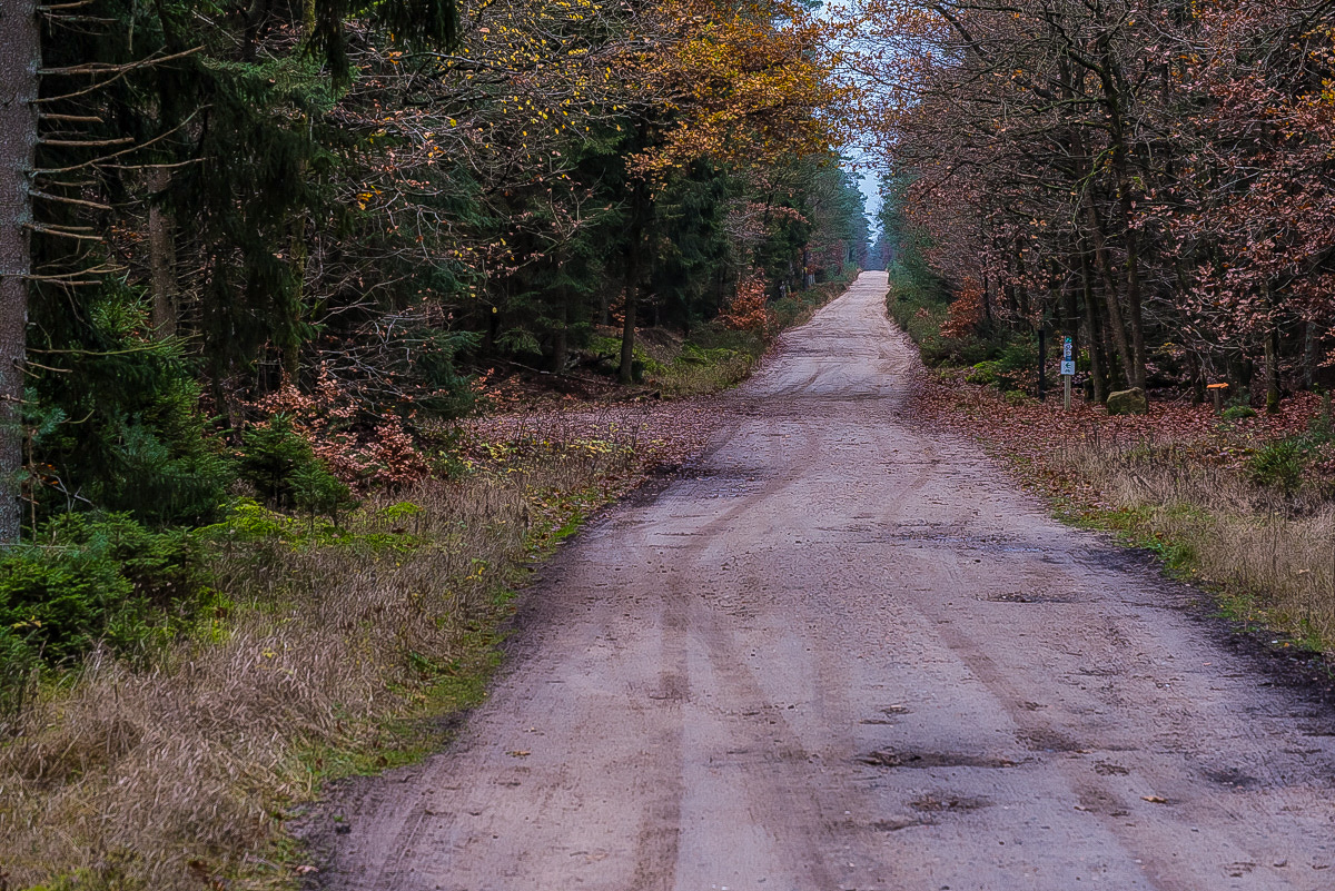 Der alte Heerweg (1 von 1).JPG