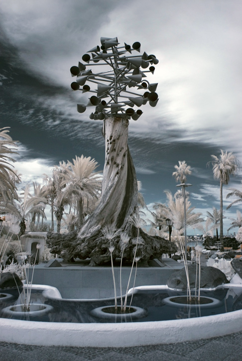 Der Baum der Winde