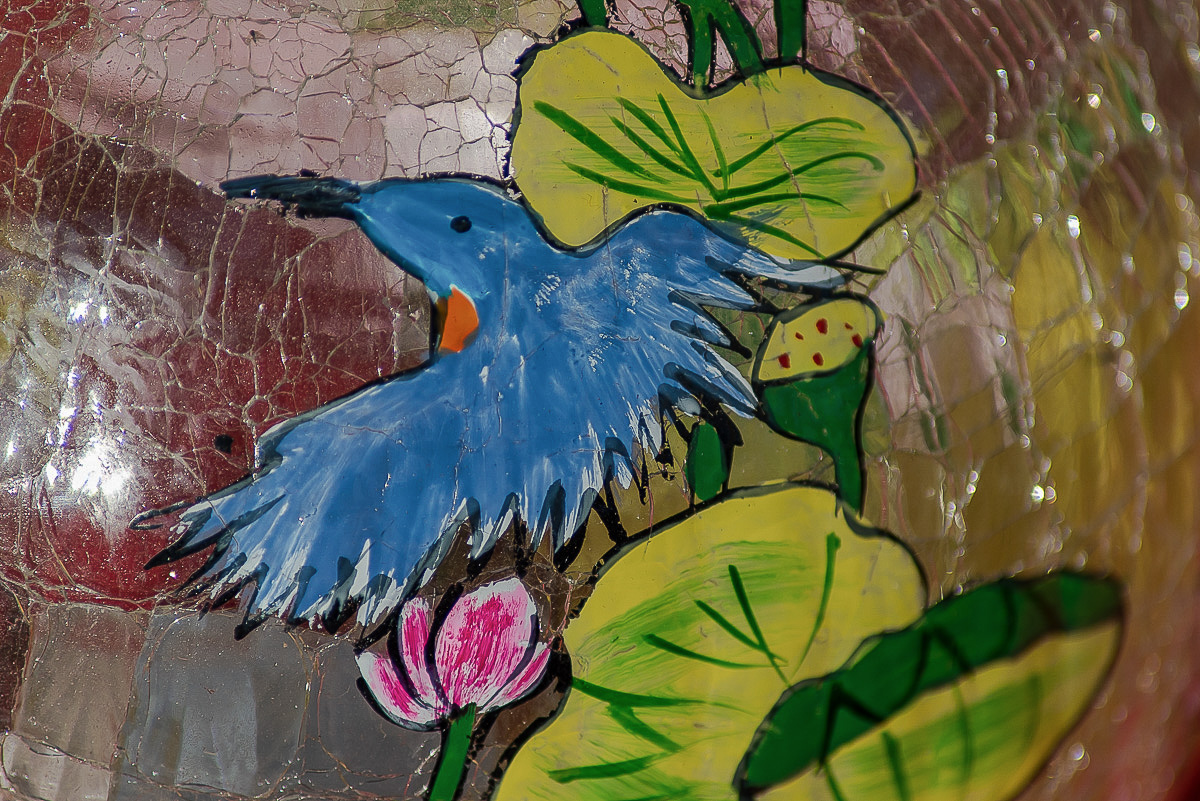 Der blaue Vogel (1 von 1).jpg