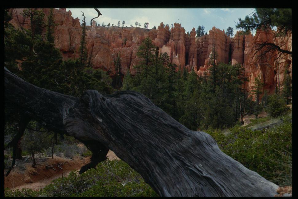 Der Bryce Canyon ist fast unberührt