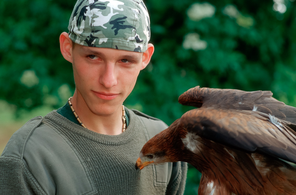 Der Falkner