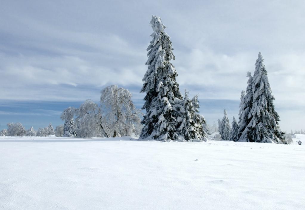 Der Kahle Asten ist ein 841,9 m hoher Berg im Rothaargebirge im Hochsauerlandkreis