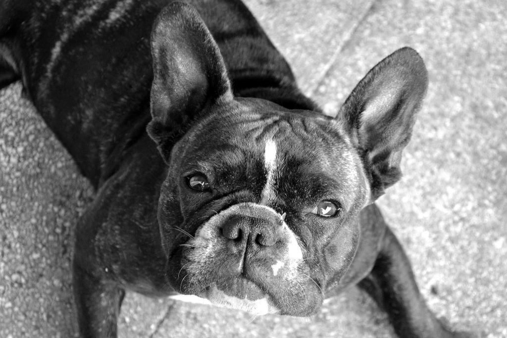 Der Kleine hat da was auf der Nase ;)