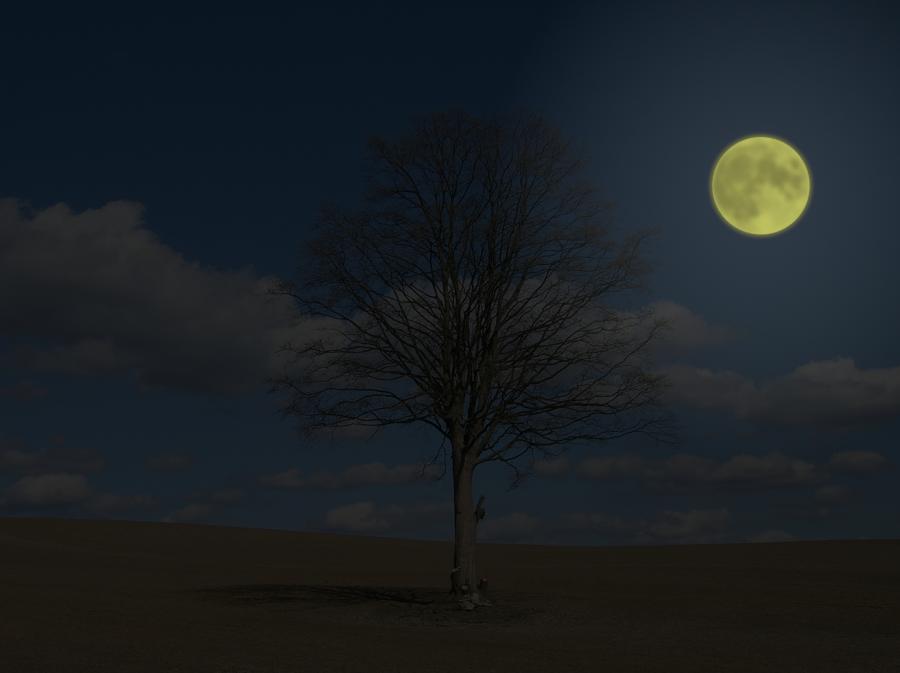 der Mond ist aufgegangen
