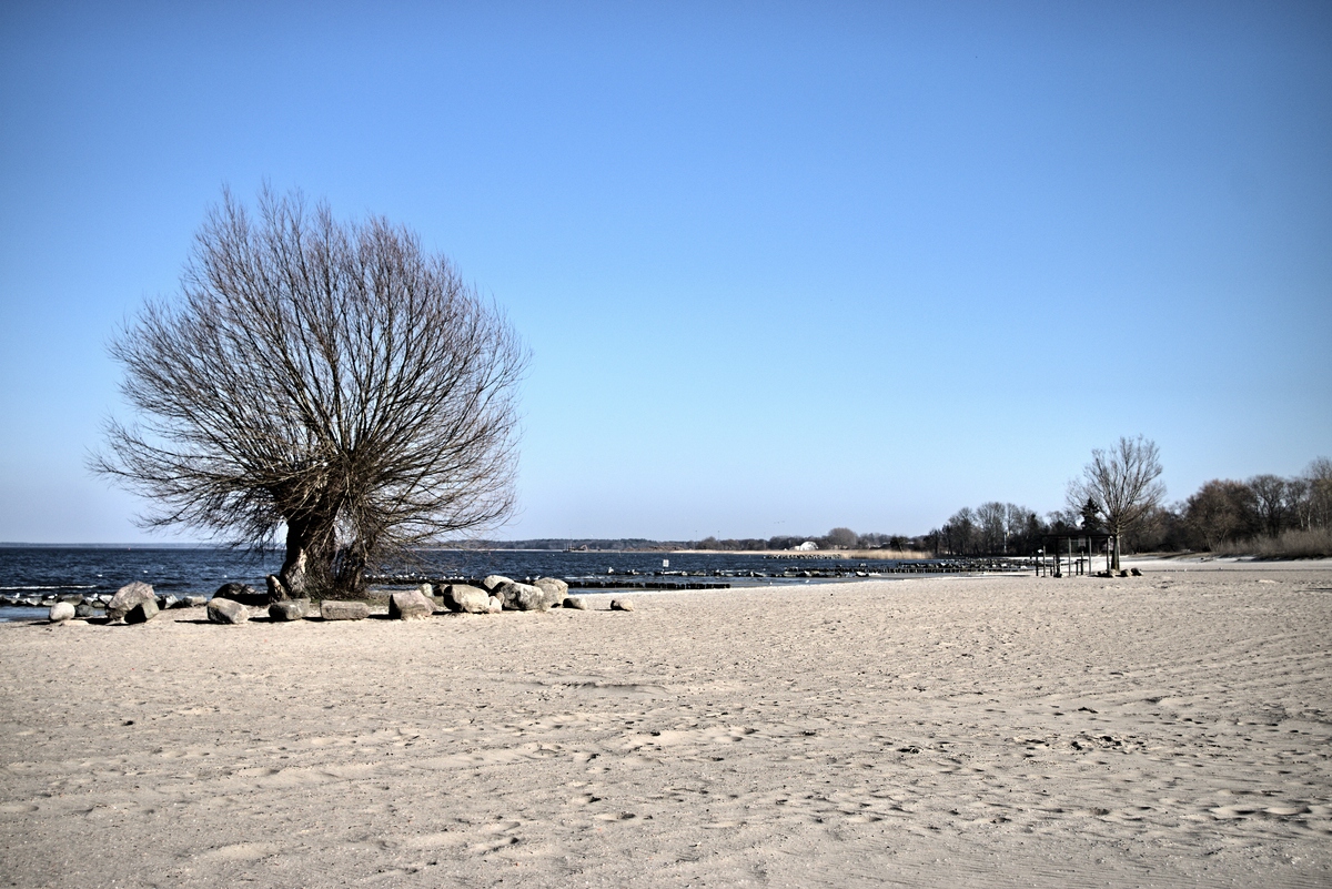 Der schoene Sandstrand von Ueckermuende 2.jpg