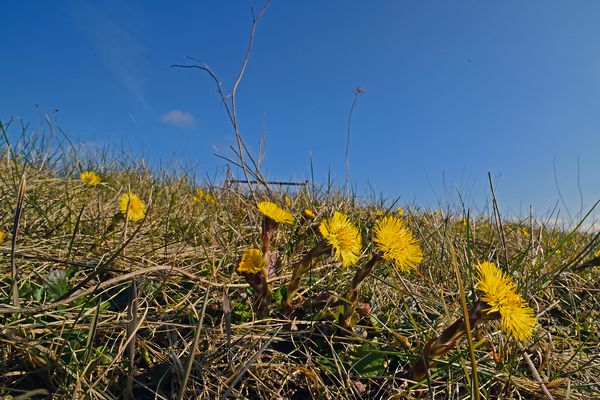 der sonne entgegen  ©GW