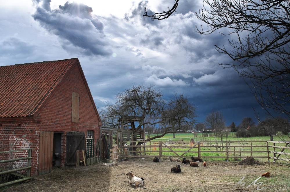 Der Sturm zieht auf