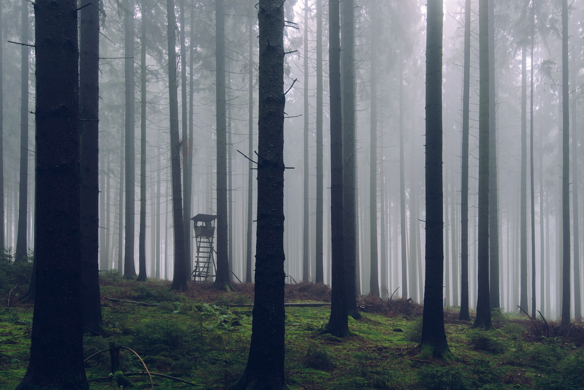 Der Taunus im Herbst
