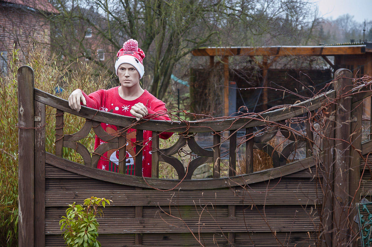 Der vergessene Weihnachtsmann (1 von 1).JPG
