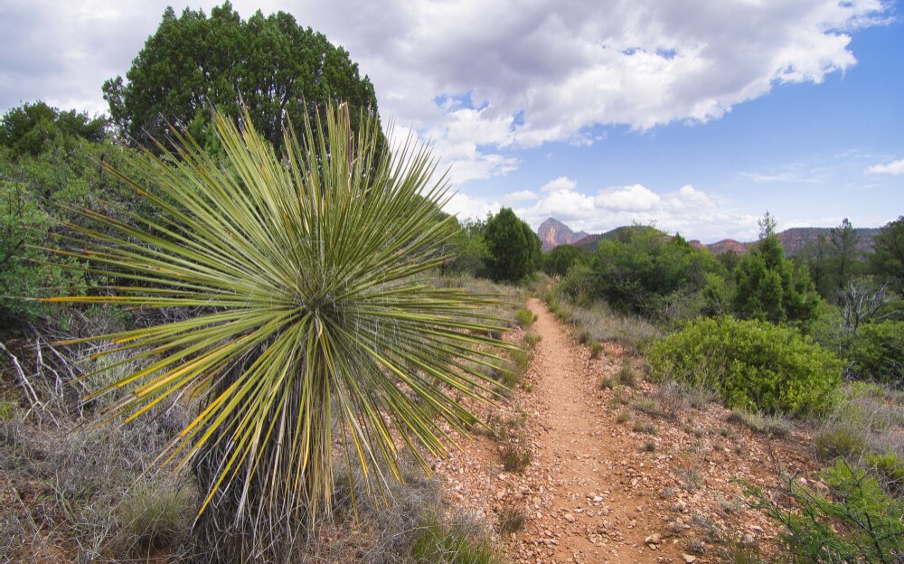 Der Weg 1
