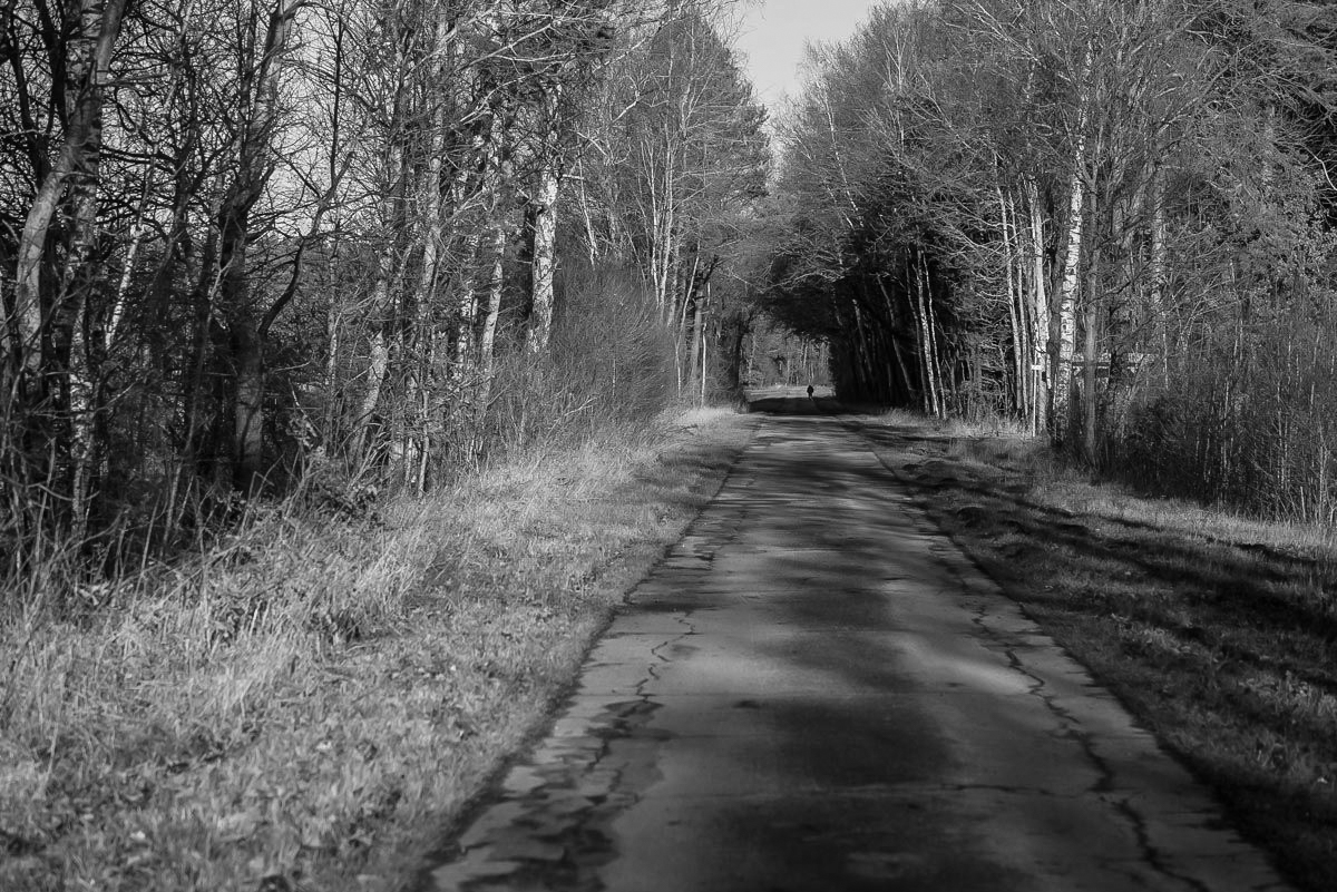Der Weg ins Moor (1 von 1).JPG