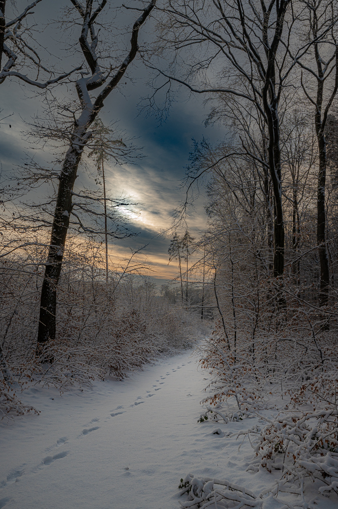 Der Weg