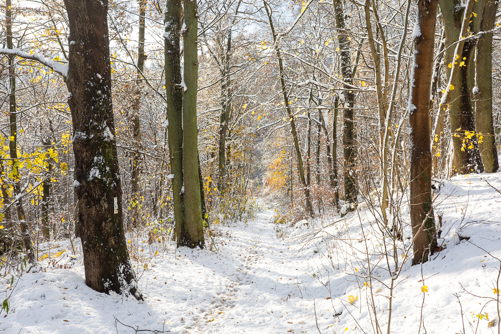 Der zweite Wintertag