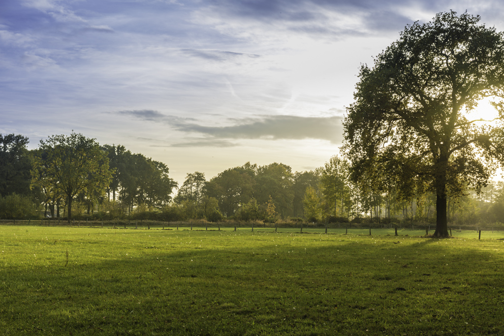 DeWitt See im Herbst