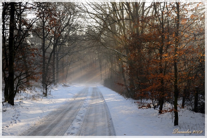 Dezember 2009test
