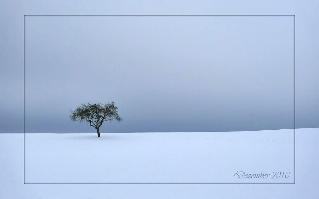Dezember2010 1000x640