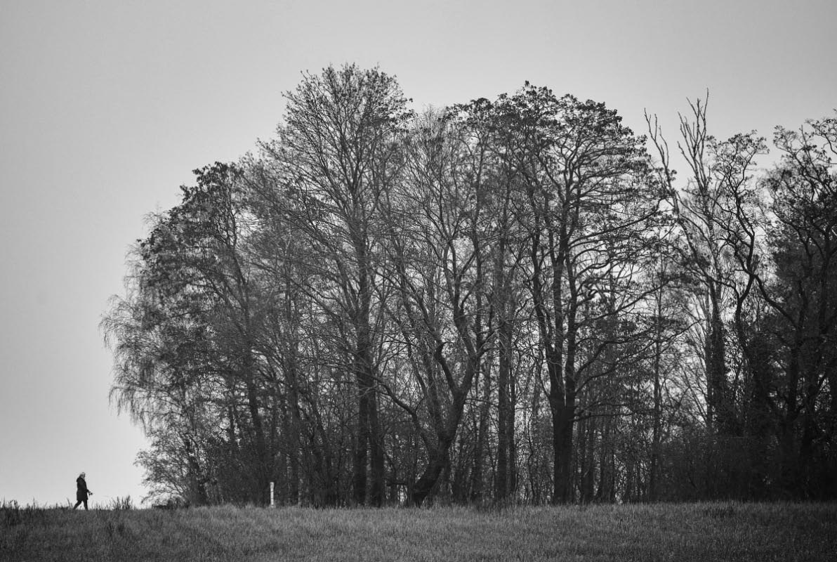 Dezemberspaziergang BW.jpg