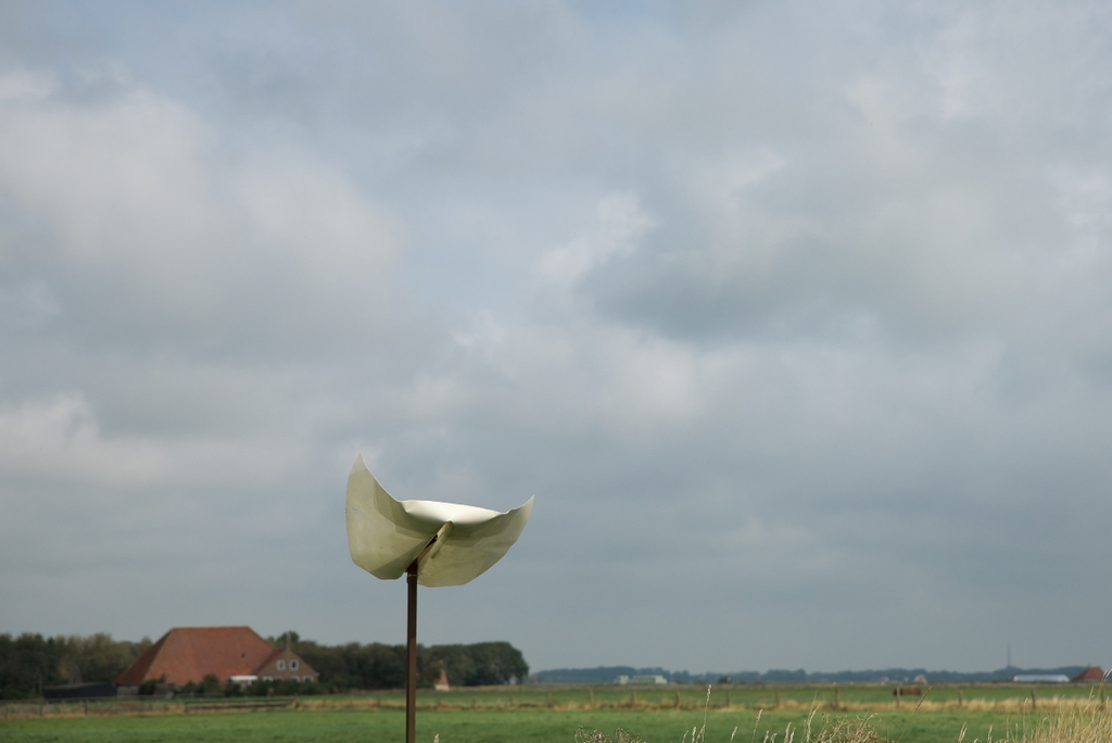 DFX_0365.jpg