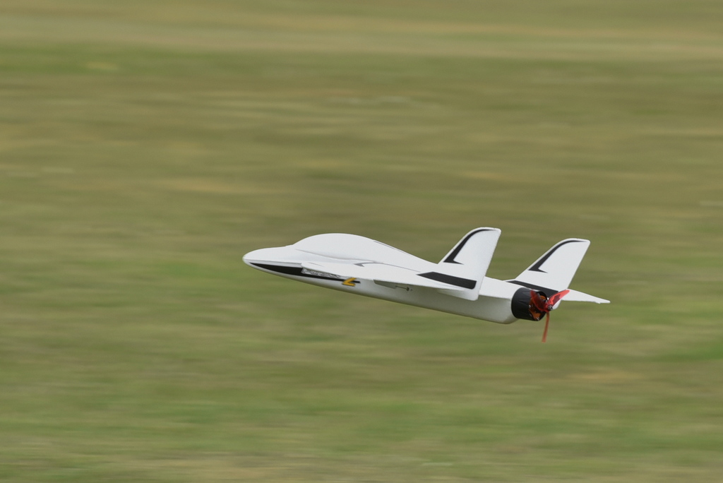 DFX_3695.jpg