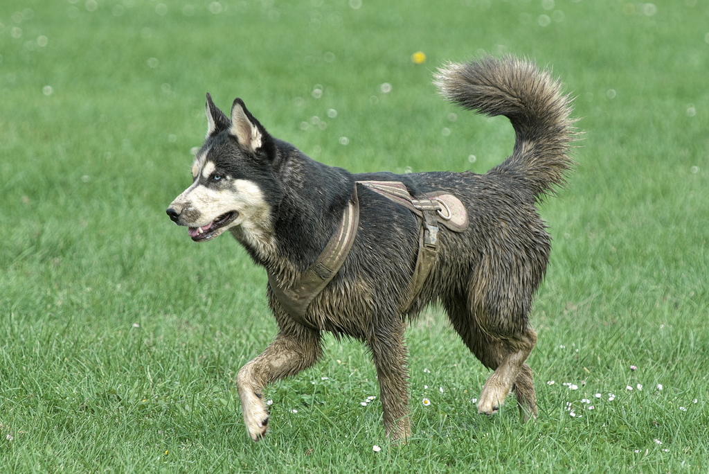 DFX_3789.jpg