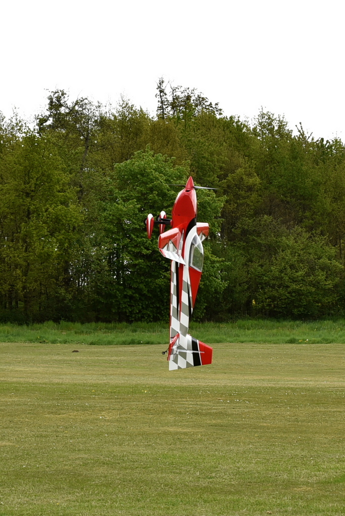 DFX_3817.jpg