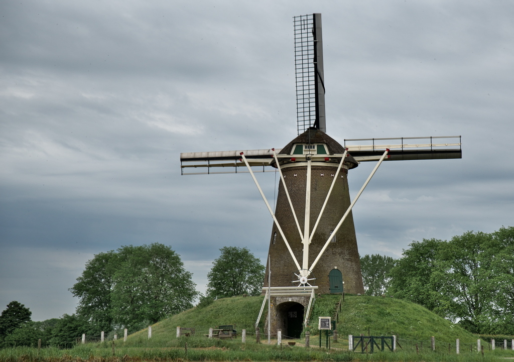 DFX_3911.jpg