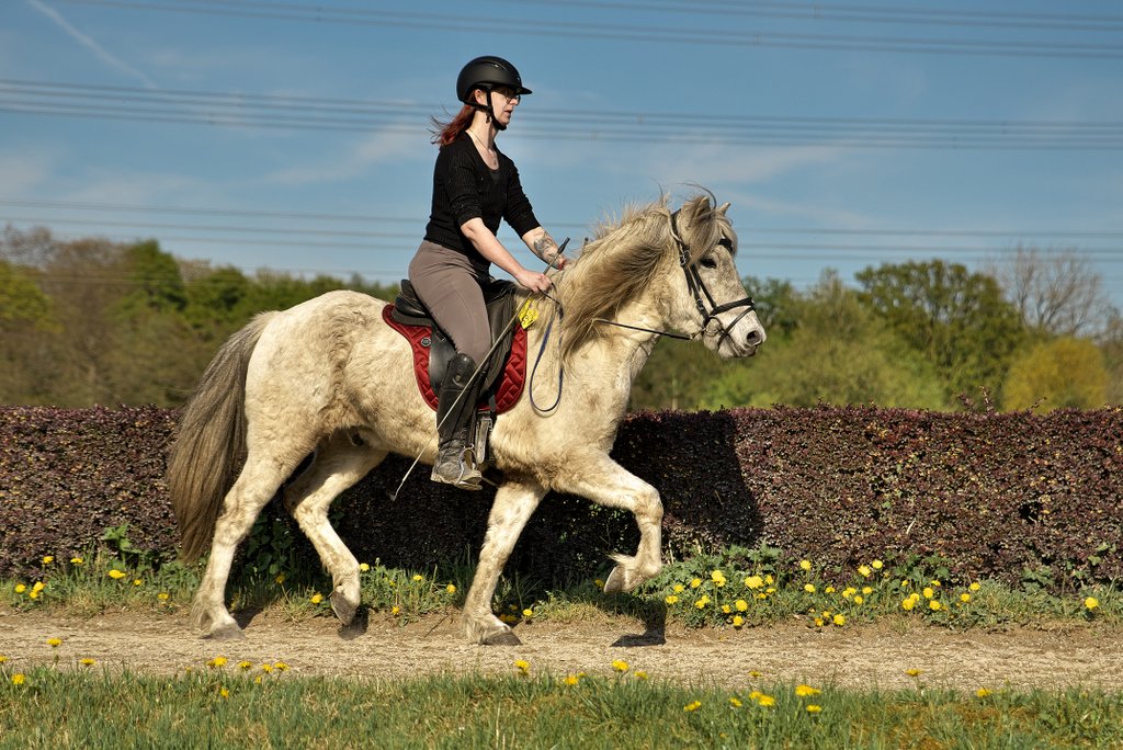 DFX_4235.jpg