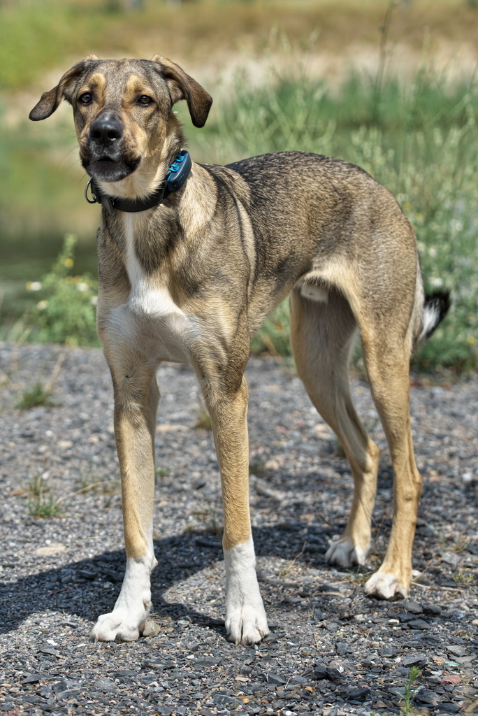 DFX_4550.jpg