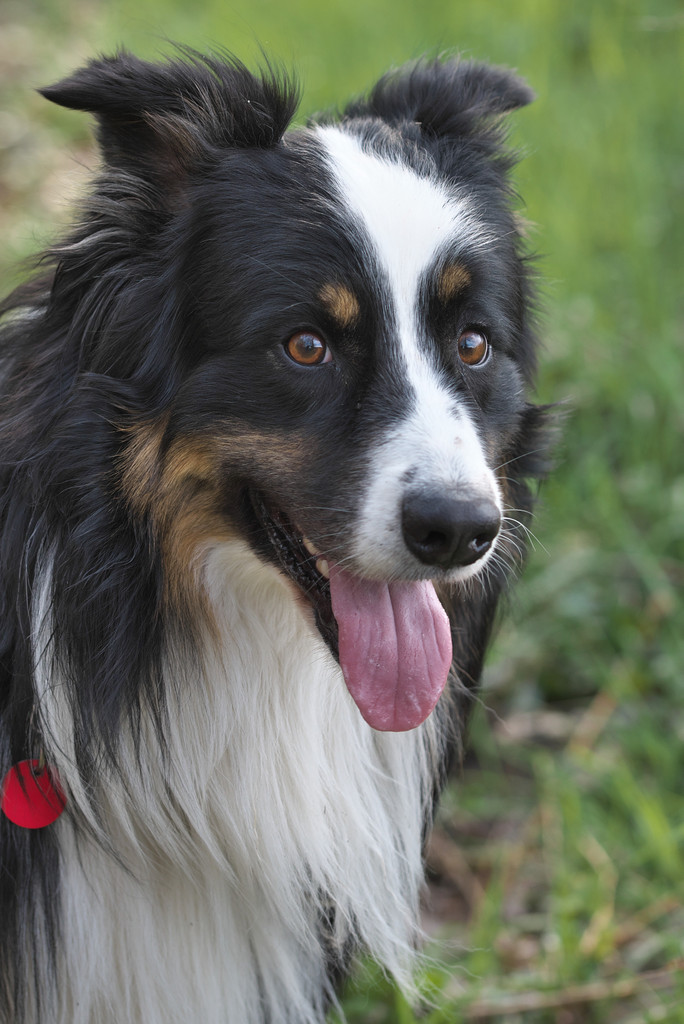 DFX_7257.jpg