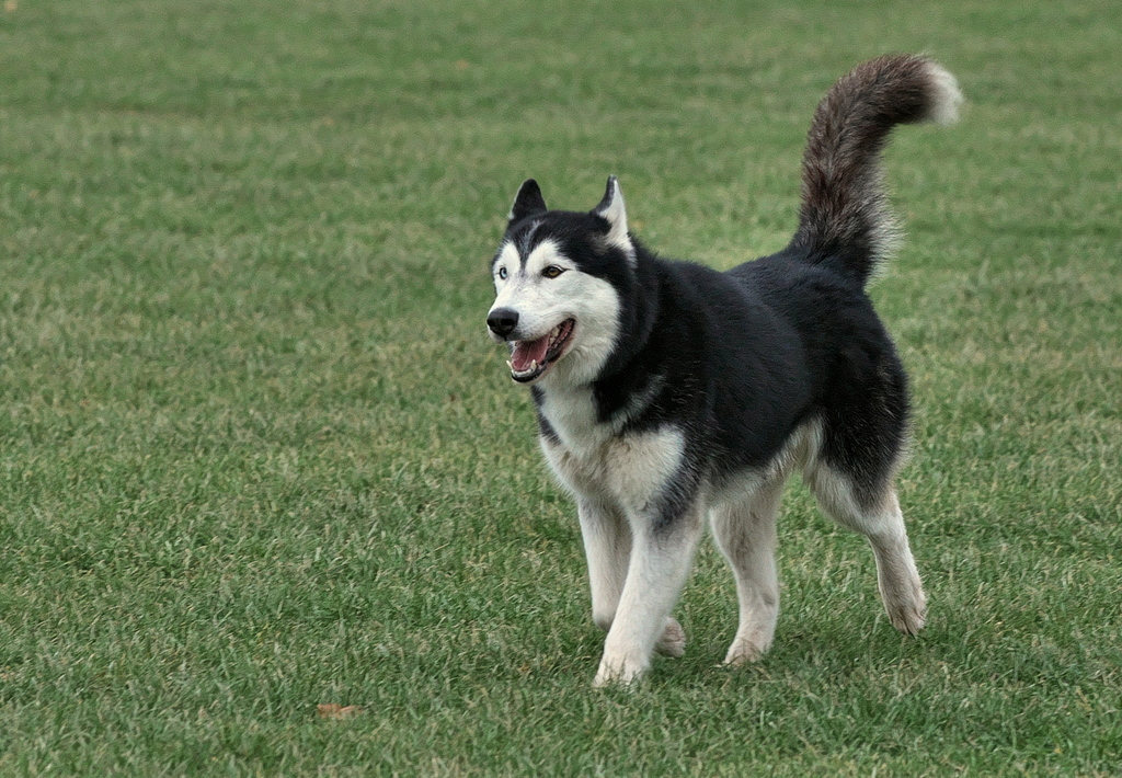 DFX_7575.jpg