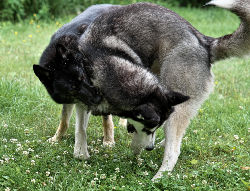 DFX_9262.jpg