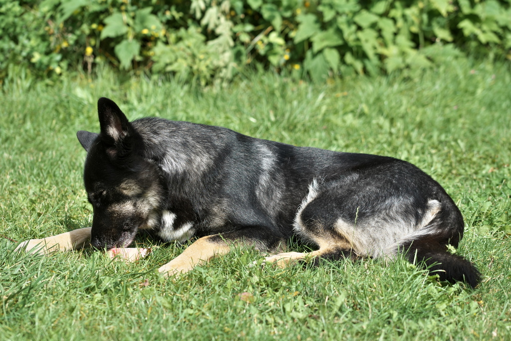 DFX_9524.jpg