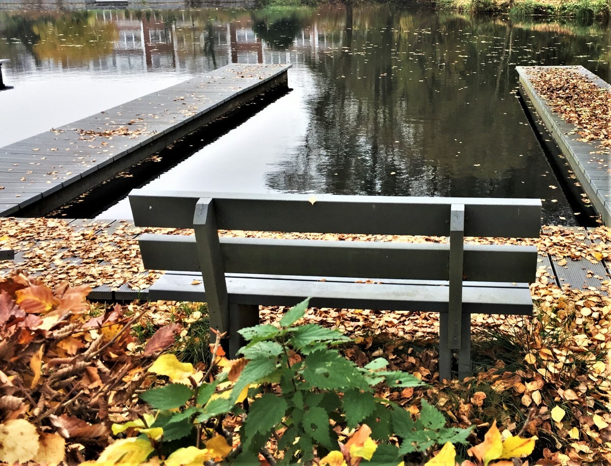 Die Bank am See.jpg