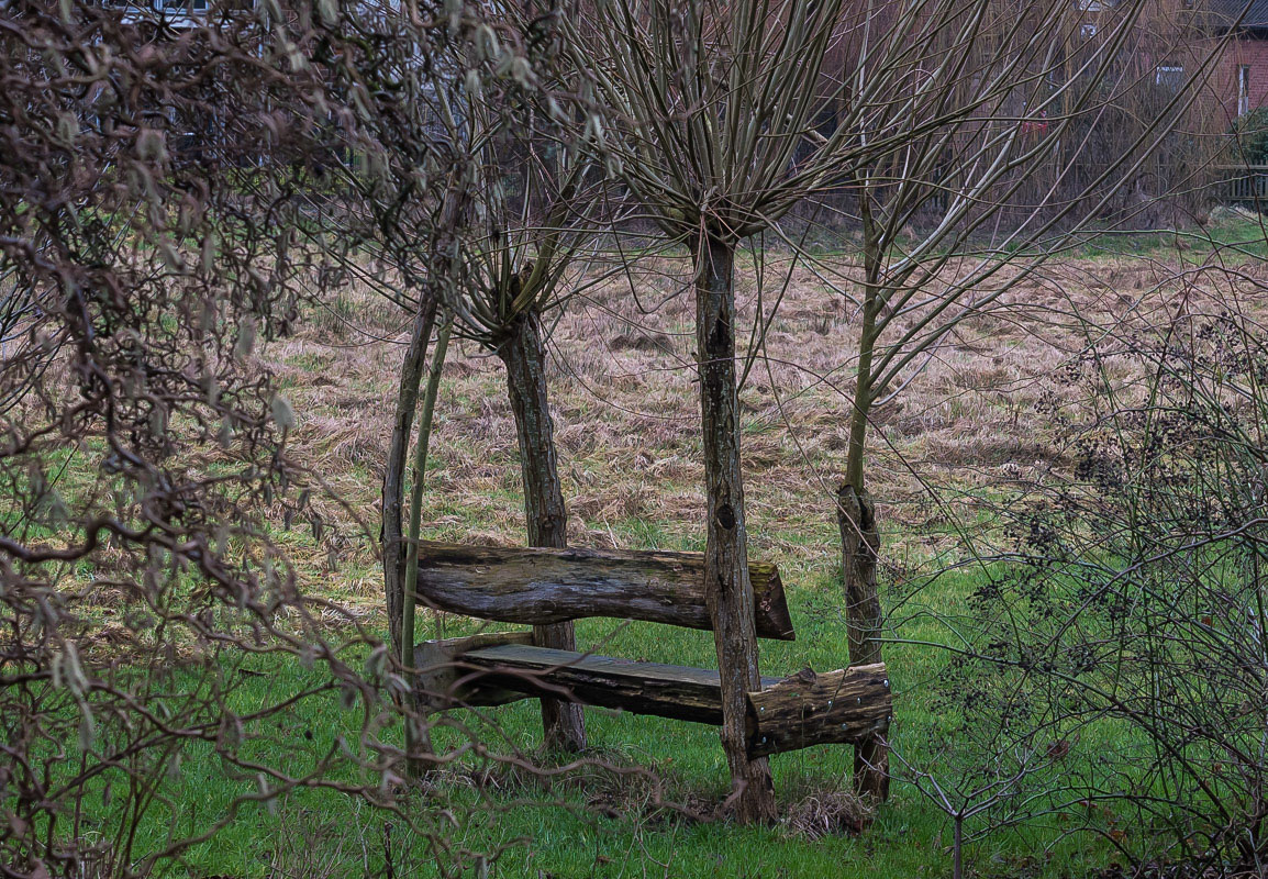 Die Bank in den Weiden (1 von 1).jpg