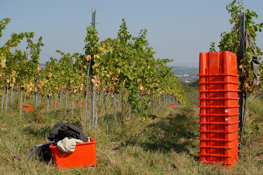 ...die Farbe Rot!