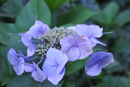Die Farben haben uns so gefallen.