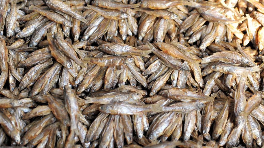 Die Fische aus dem Malawisee werden getrocknet und
auf den Märkten zum Kauf angeboten.
Die Fischhändler sind ebenfalls in einer Halle und
der Geruch u