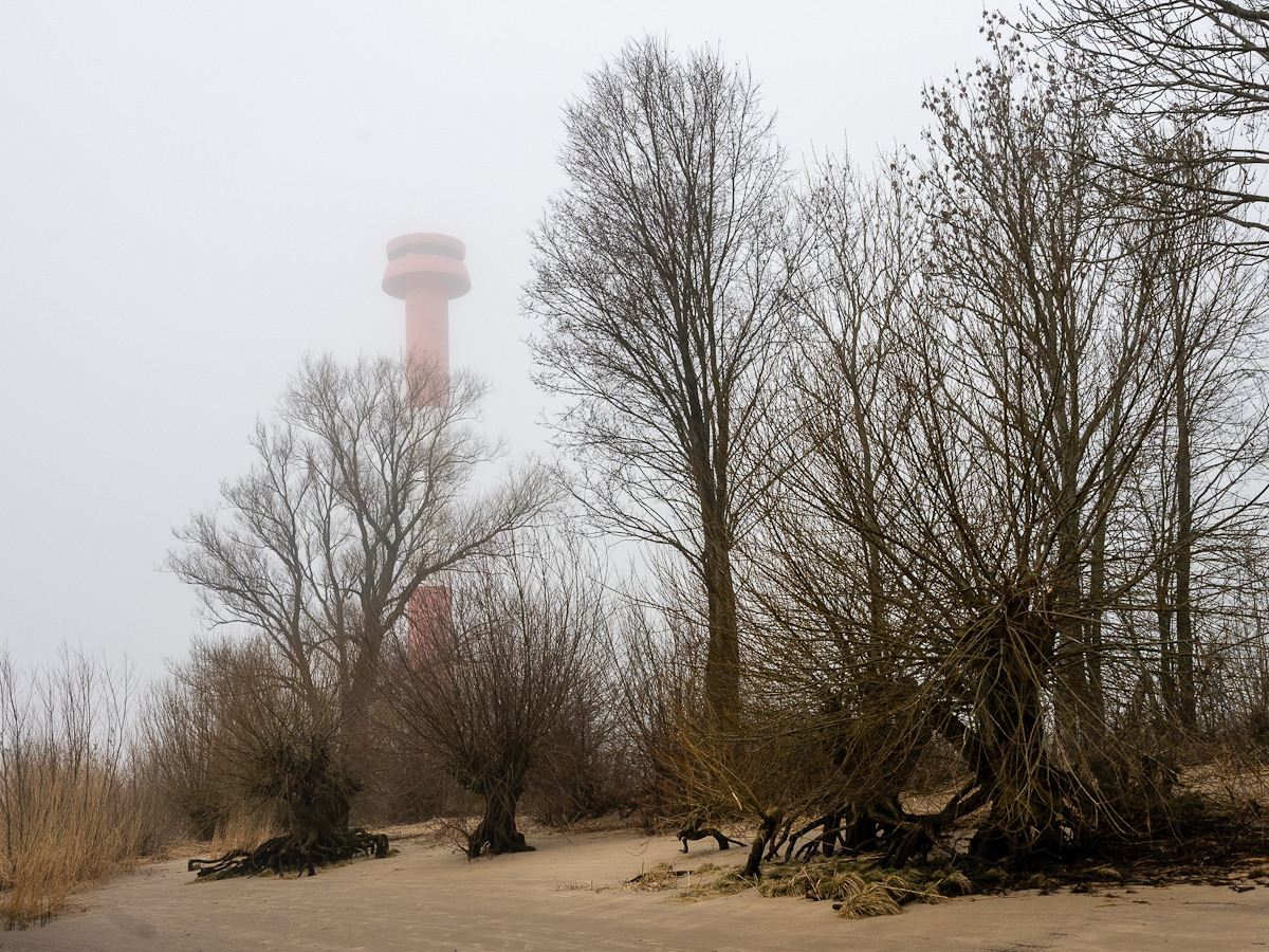 Die Sonne braucht noch etwas, den Nebel aufzukochen
