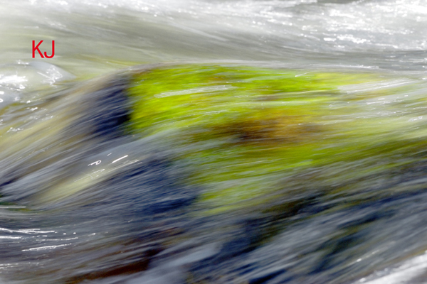 Die Spree