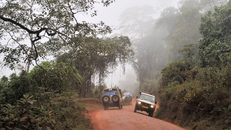 Die Straße windet sich zum Rand des 
Ngorongoro Krater hoch.
Das Bergland liegt bereits in den Wolken.
0111