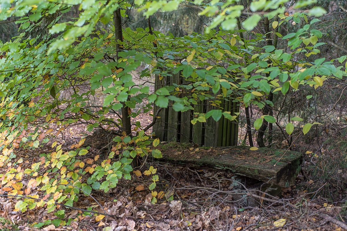 Die vergessene Bank (1 von 1).JPG