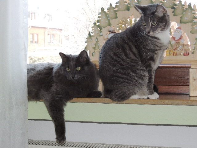Diego + Sam
