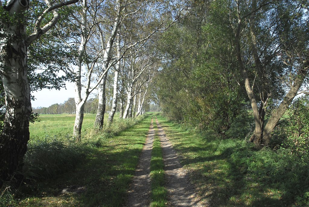 DierhagenDorf Feldweg 0196 111002 1024x685