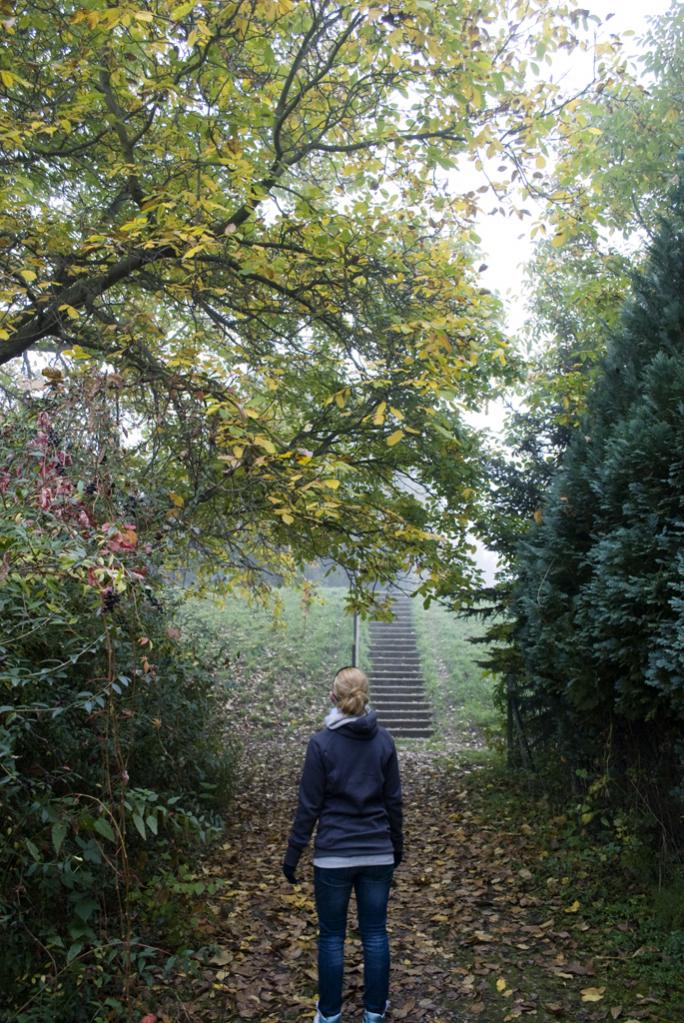 Dieses Bild entstand ebenfalls bei einem Spaziergang an einem Herbstmorgen ^^